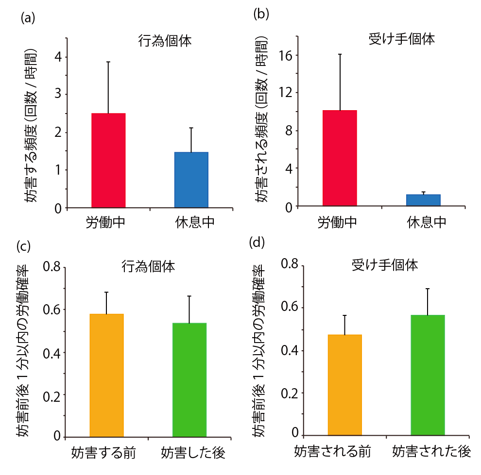 ハダカネズミ_Fig4.png