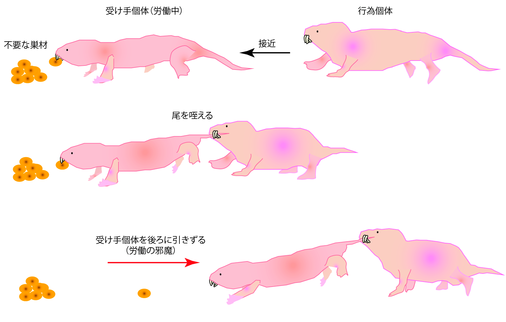 ハダカネズミ_Fig3.png