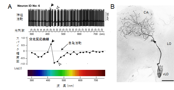 fig4_0208.png